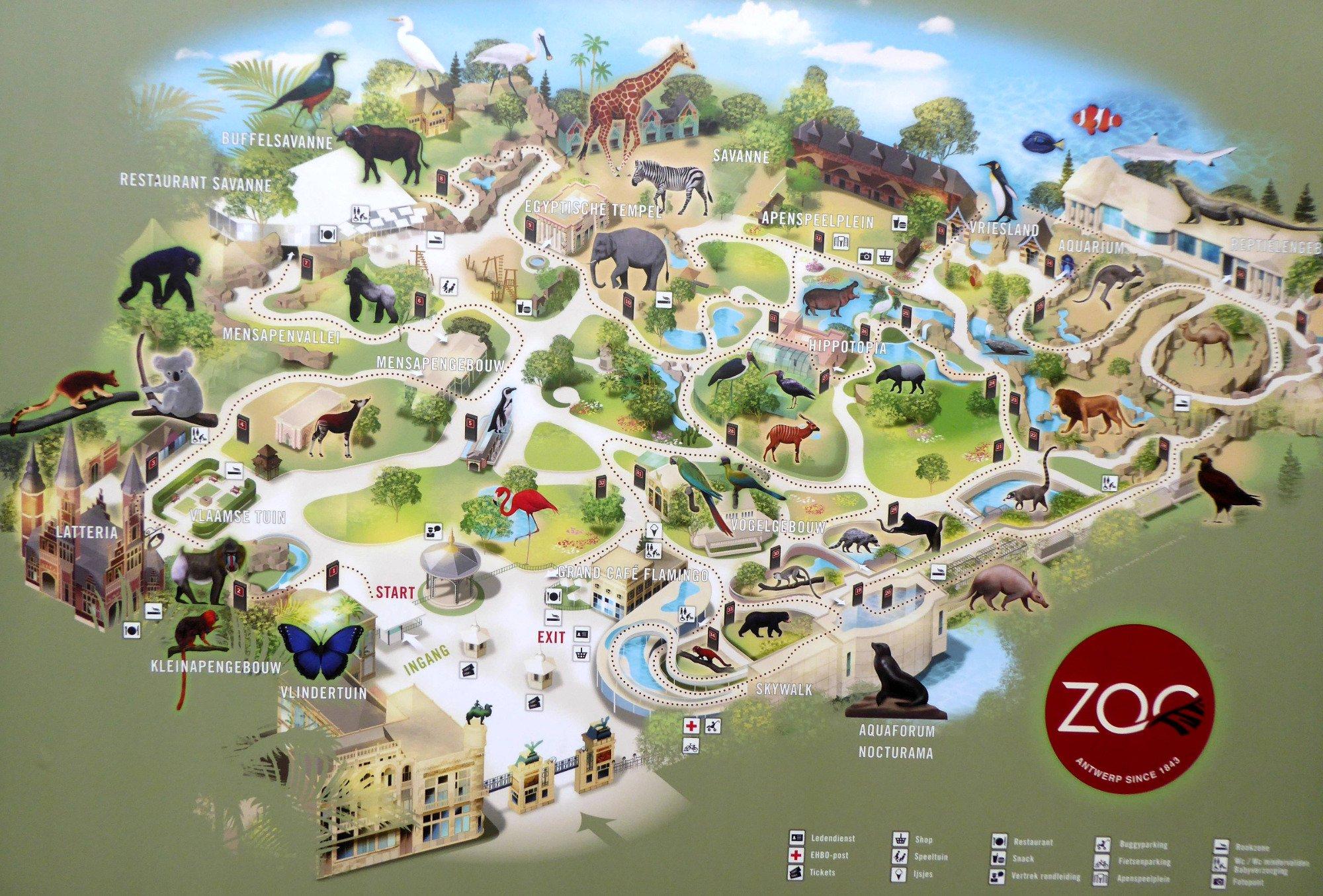 ZOO Antwerpen (Dierentuin)