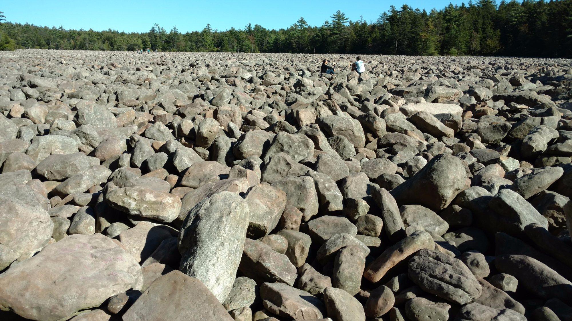 Photo by RobertaGriff