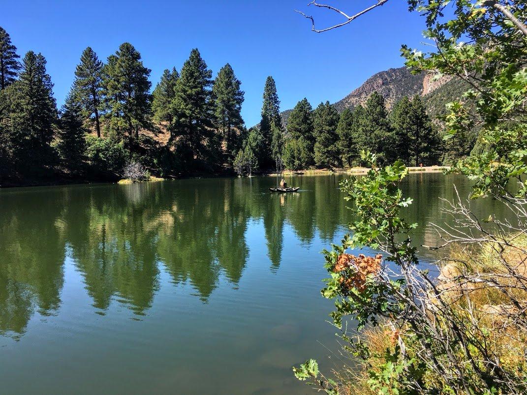 Fishlake National Forest