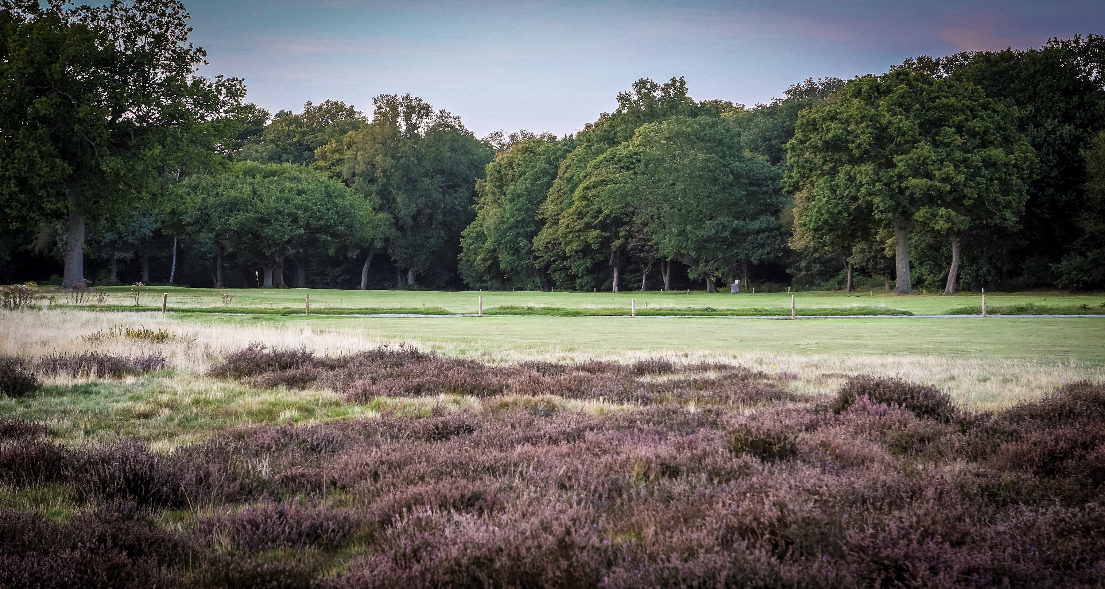 Limpsfield Chart Golf Club