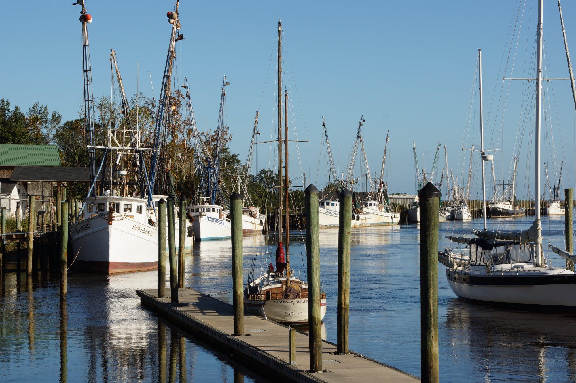 Photo by DietmarS516