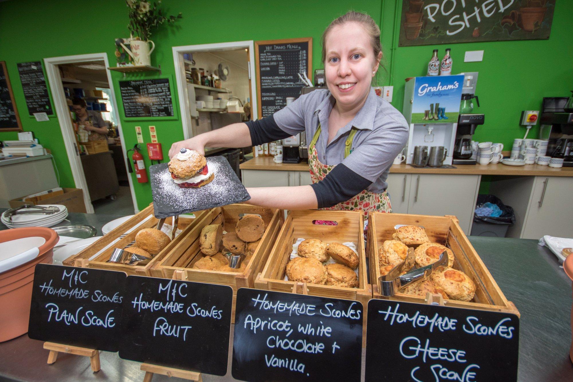 Mackenzie & Cruickshank