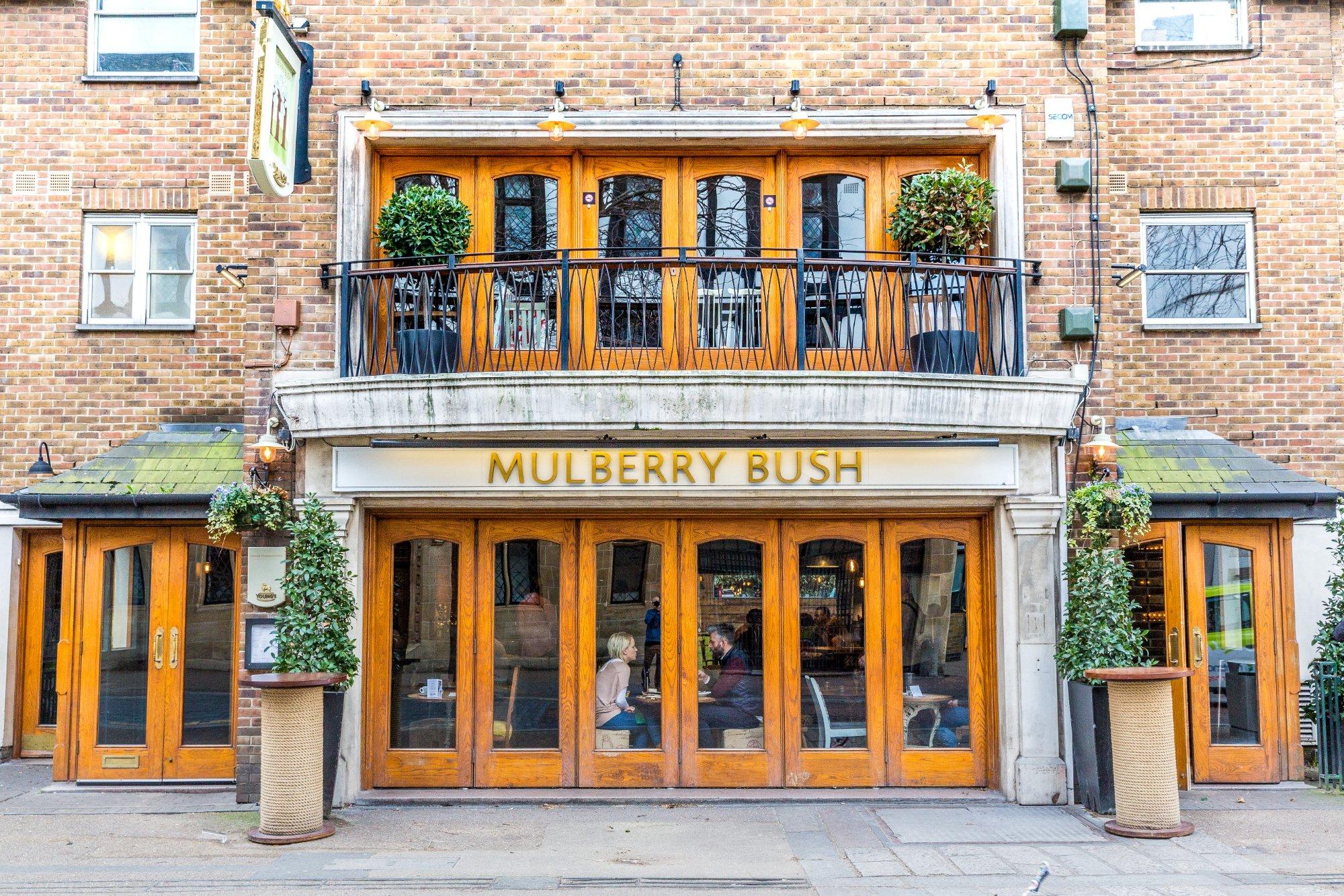 The Mulberry Bush