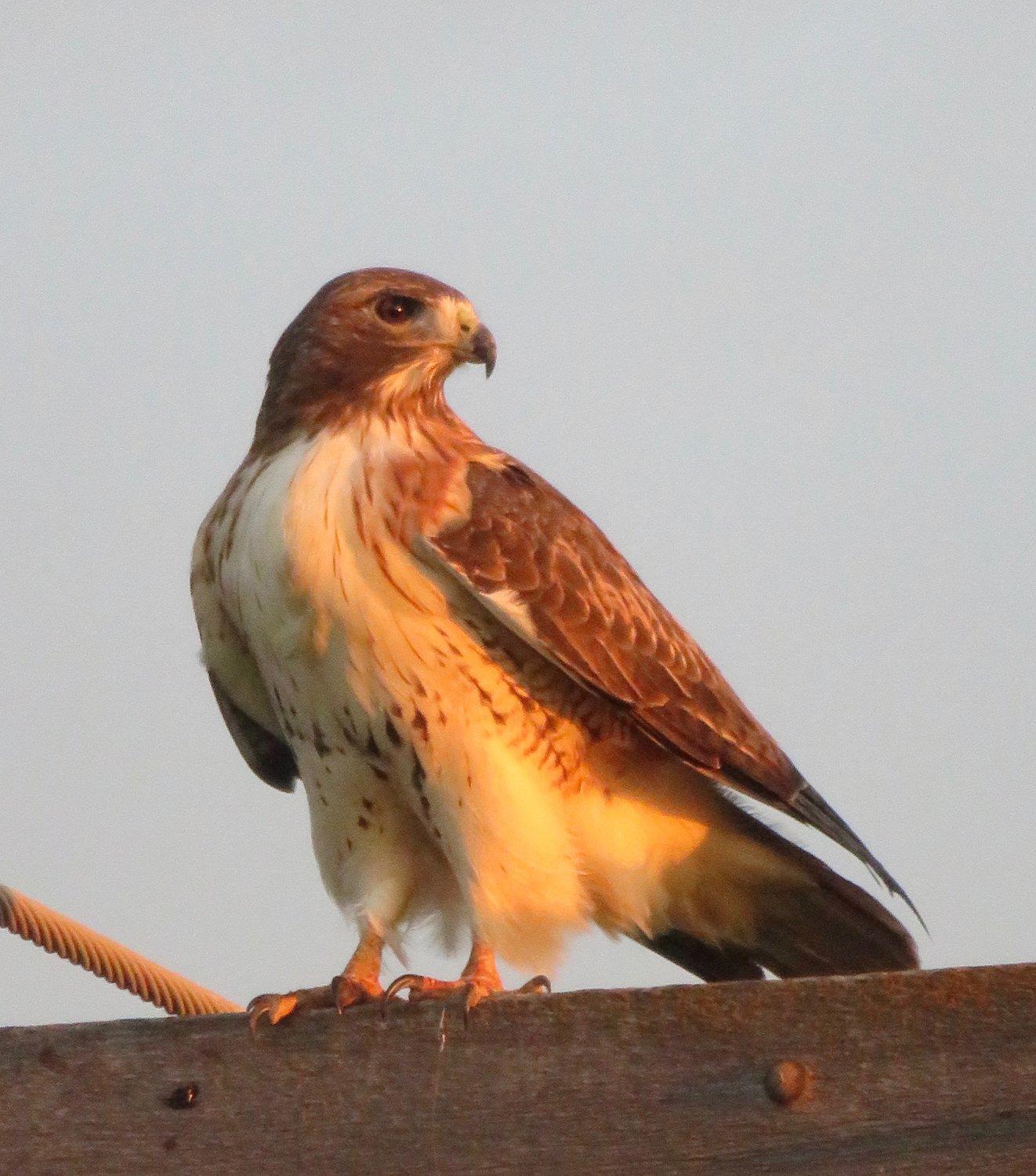 Washita National Wildlife Refuge