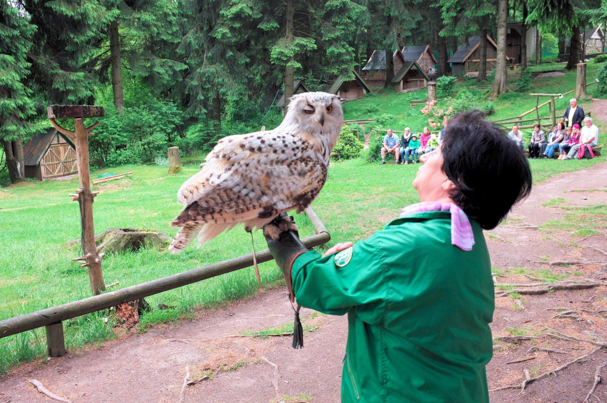 Greifenwarte Falknerei am Rennsteig