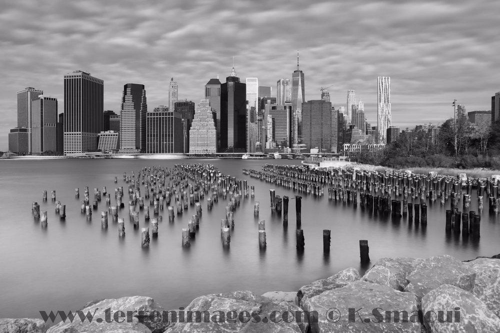 The Brooklyn Experience