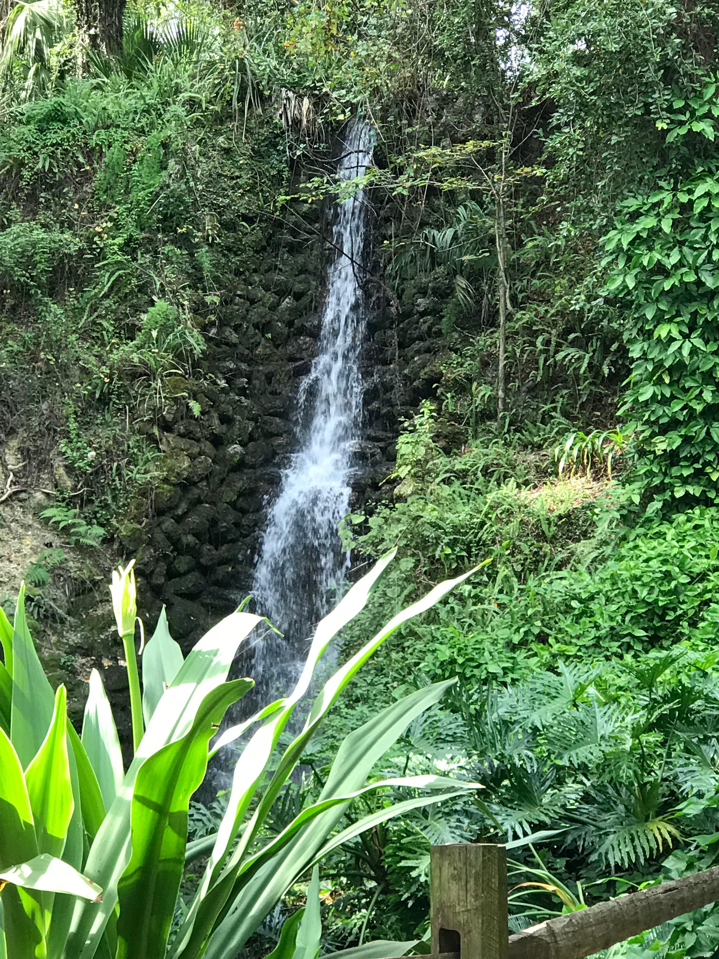 Rainbow Springs Family Campground
