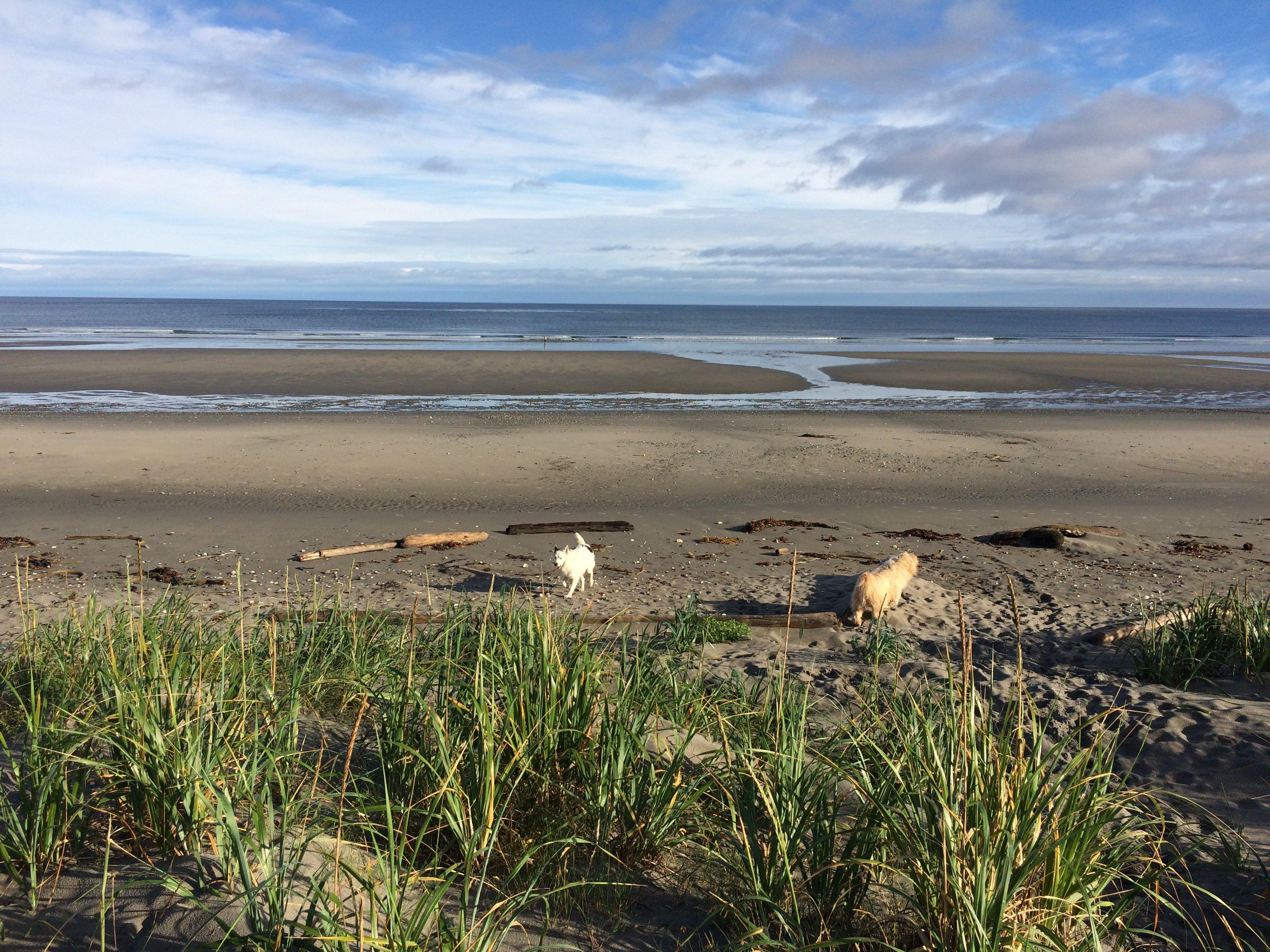 All The Beach You Can Eat