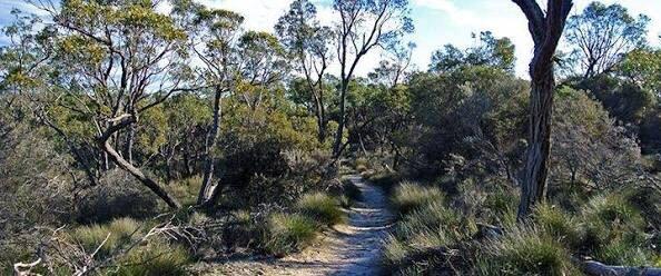 Pomponderoo Hill Lookout
