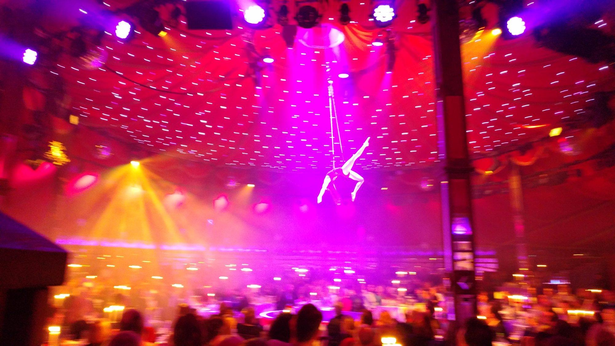 Alexander Hermann PALAZZO