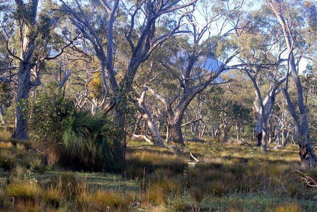 Wartook State Forest