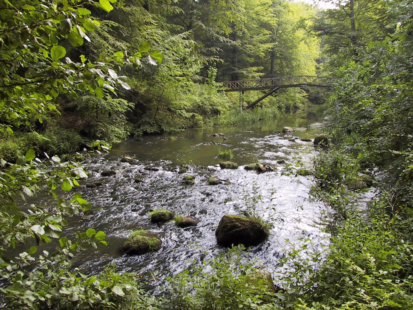 Saebygaard Skov - Saeby