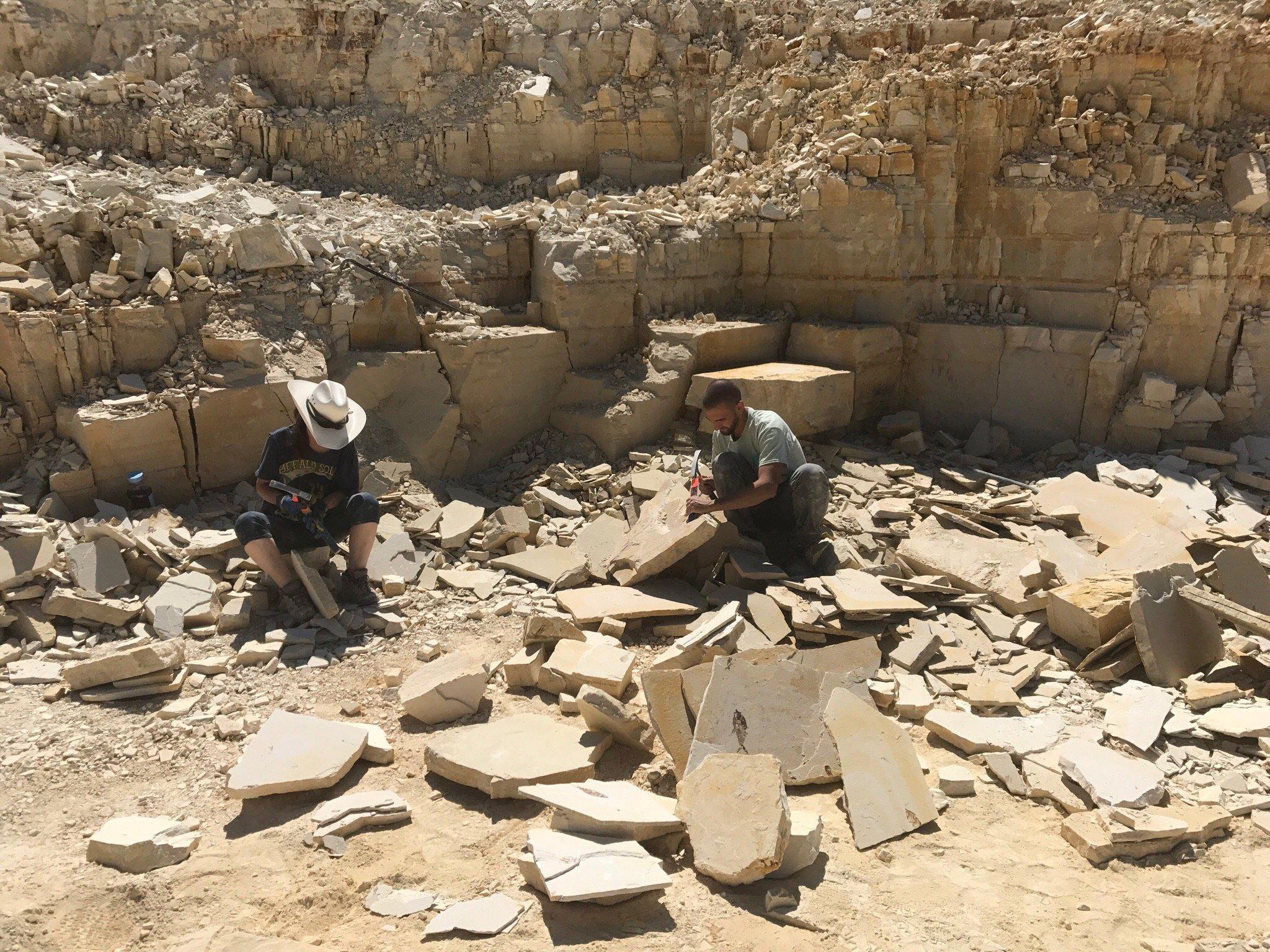 American Fossil