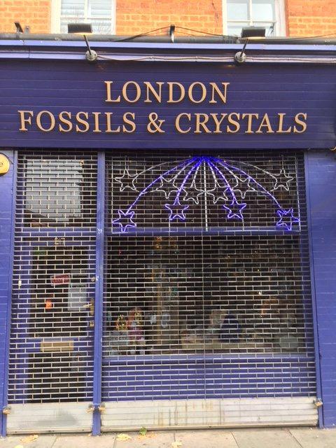 London Fossils And Crystals