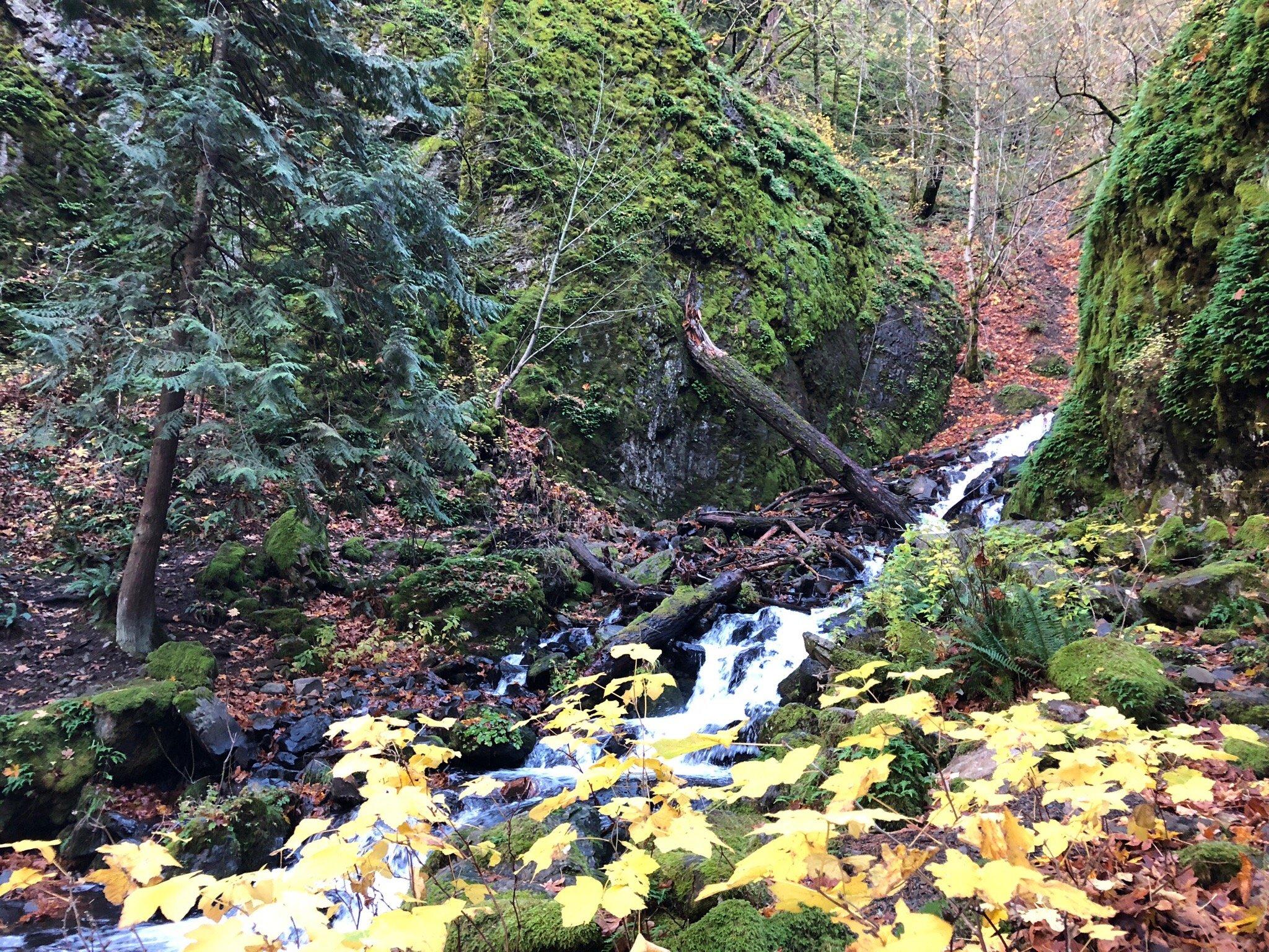 Photo by traveller_76587