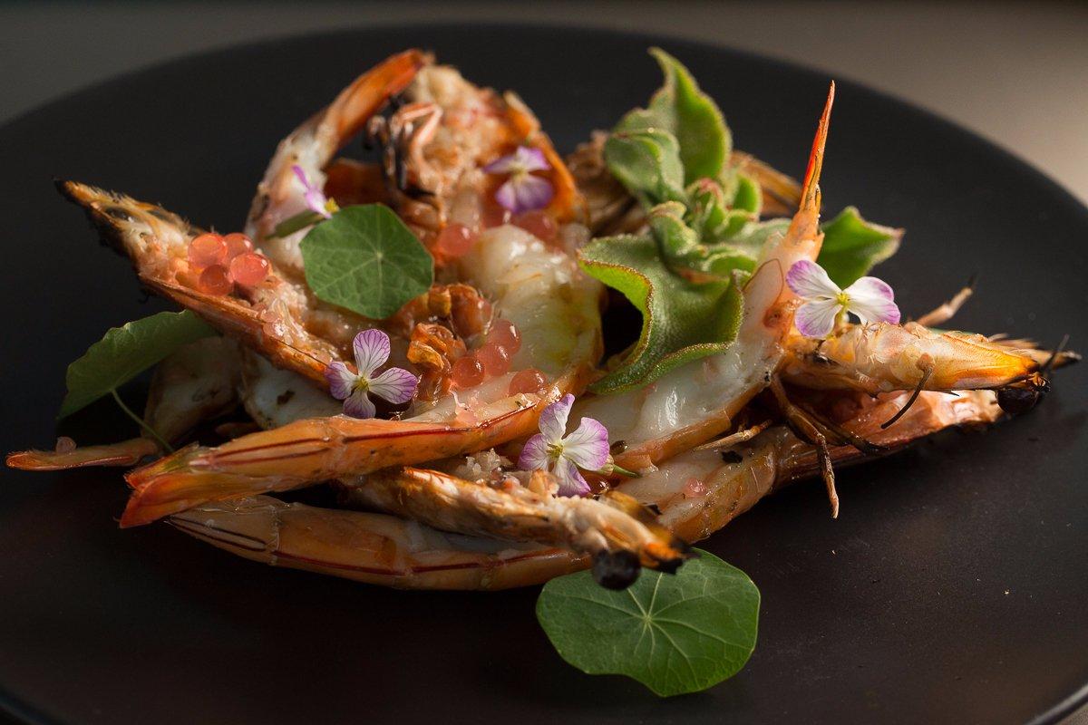 Penfolds Magill Estate Kitchen