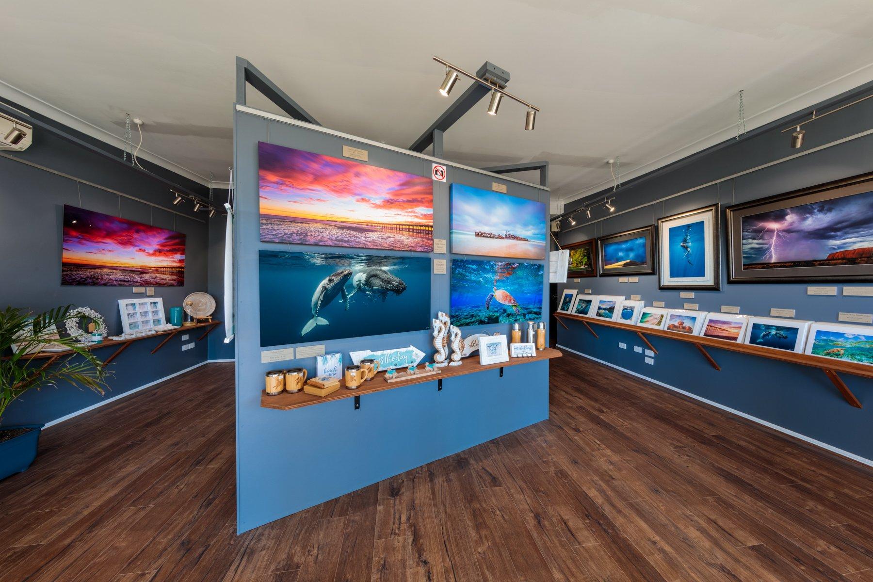 Into The Wild Photography