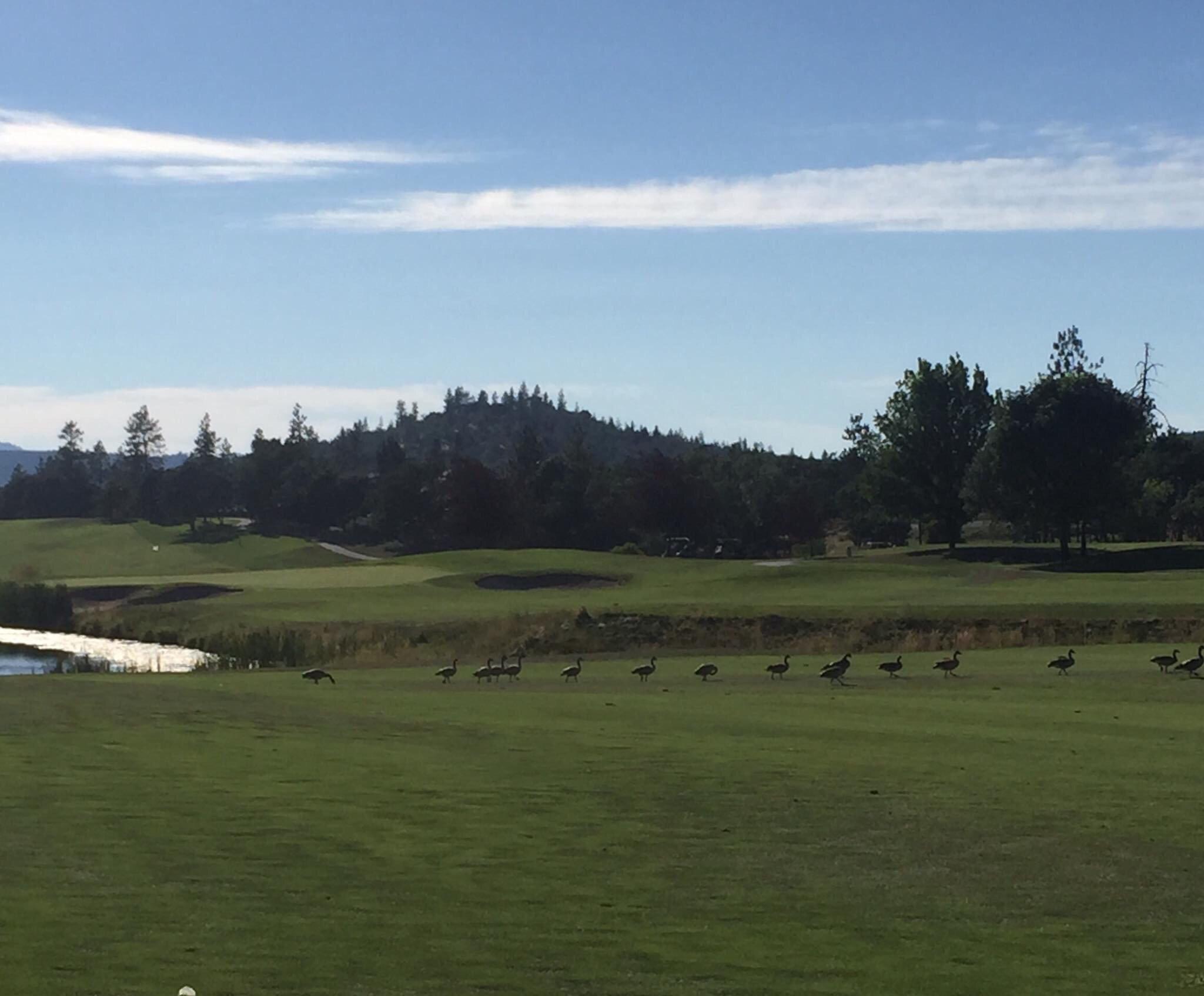 Eagle Point Golf Club