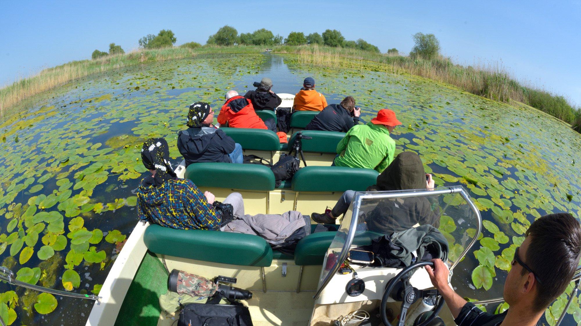 Discover Danube Delta