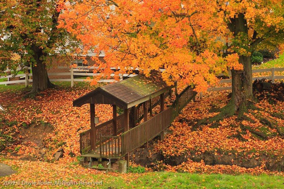 Berlin Cottages - Amish Country Lodging.