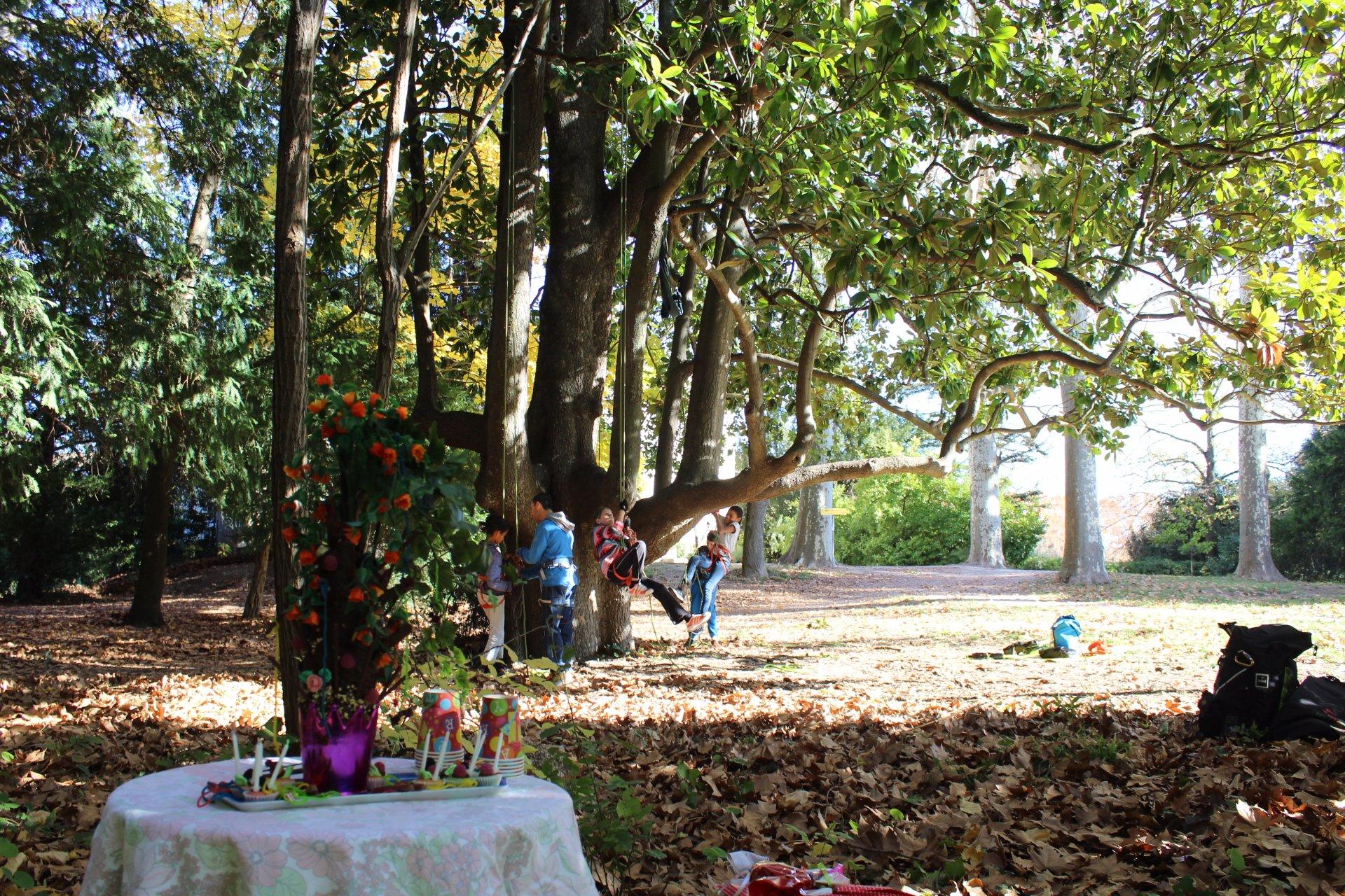 Voyage au Bout de la Cime