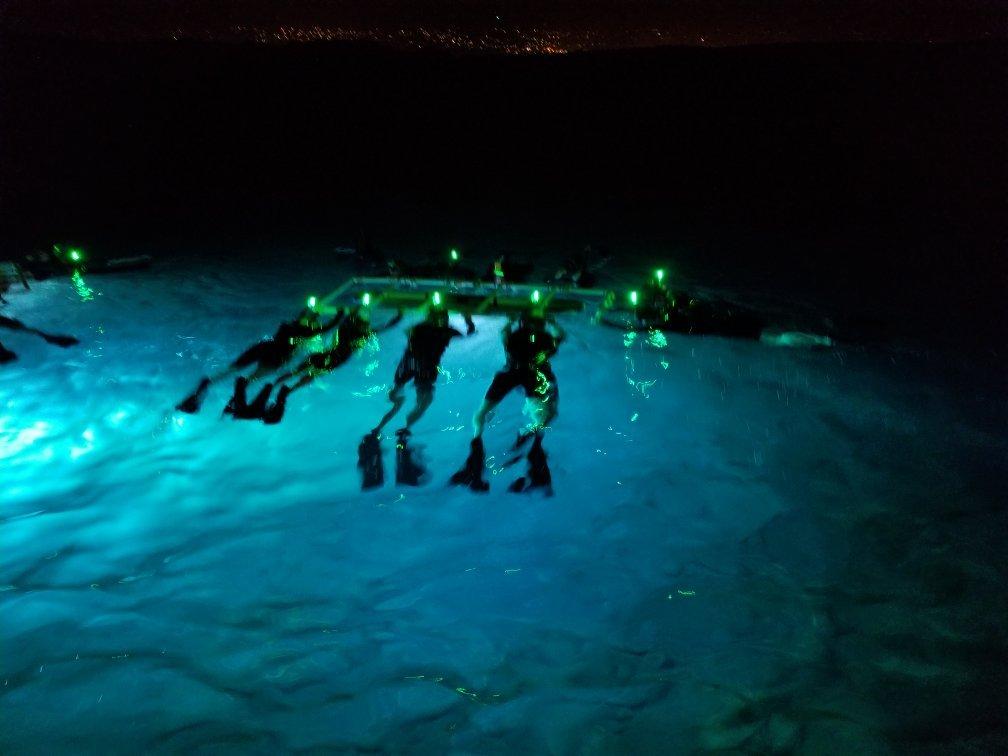 Kona Diving EcoAdventures