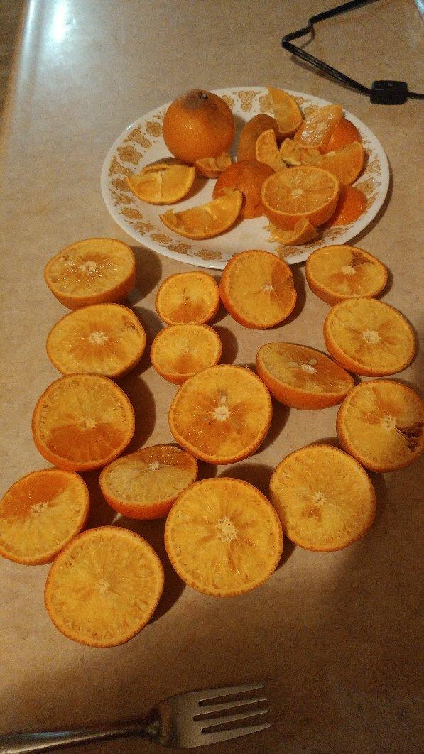 Jennings Citrus