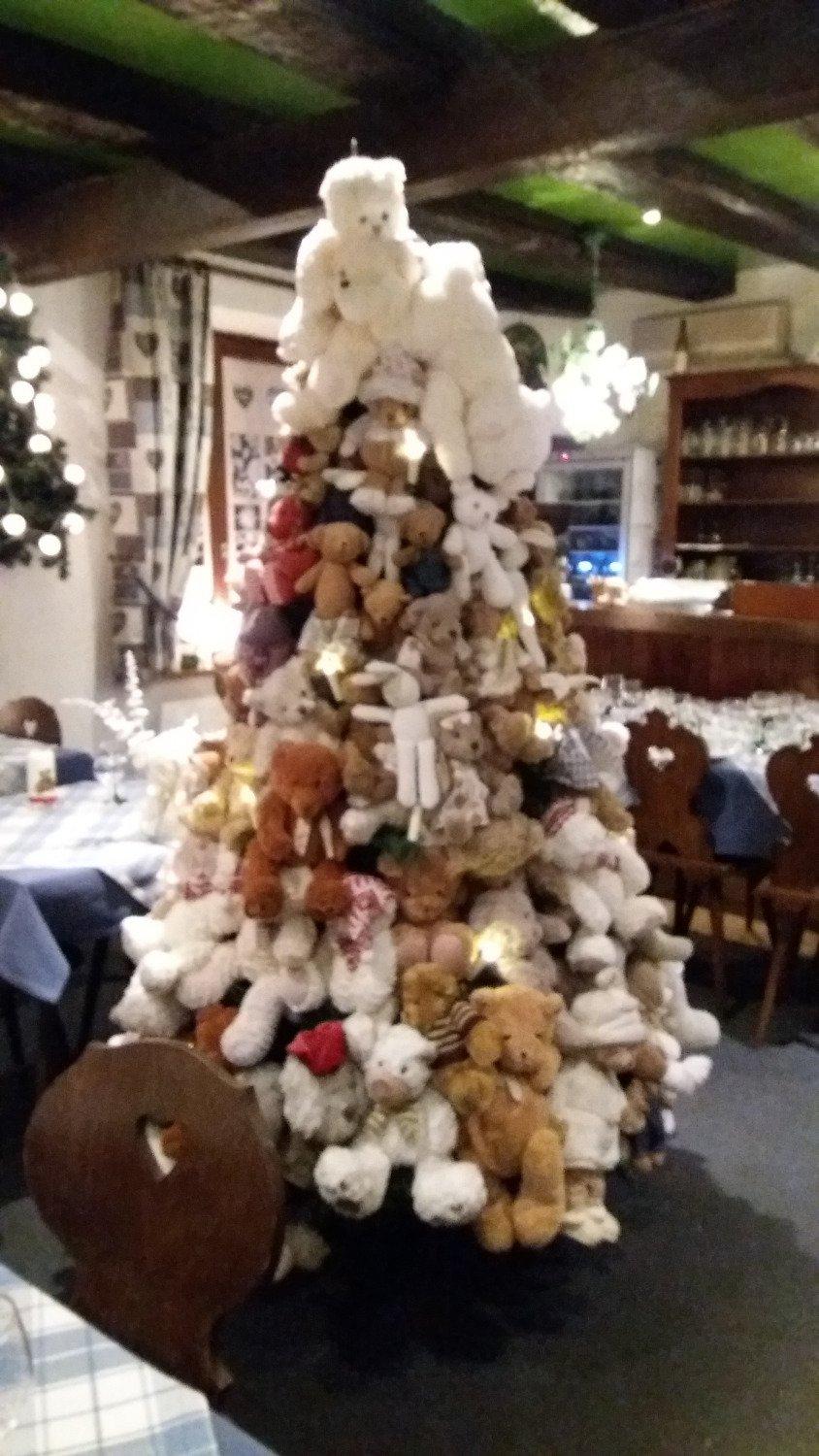 Photo by Catherine S