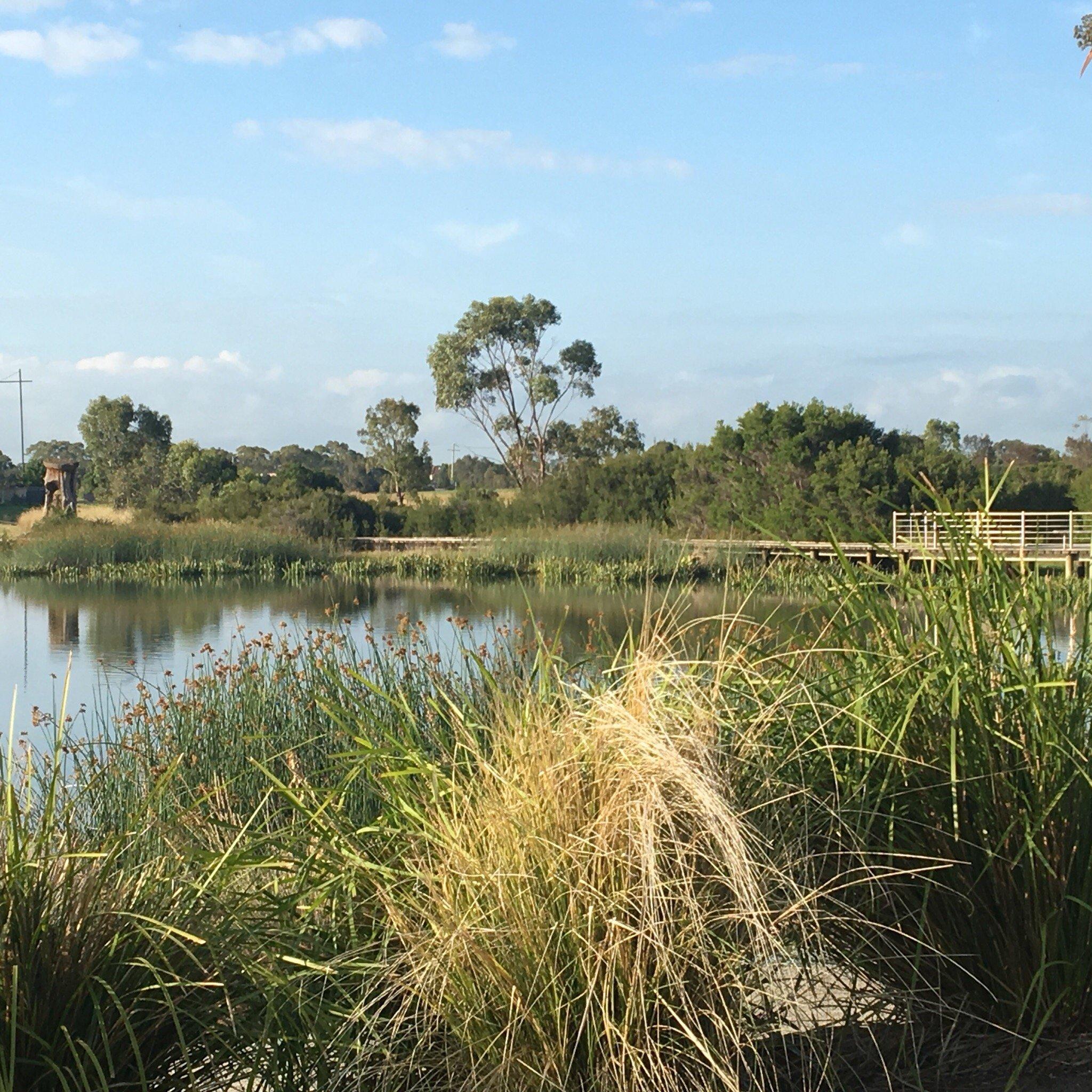 Serpentine Court Reserve