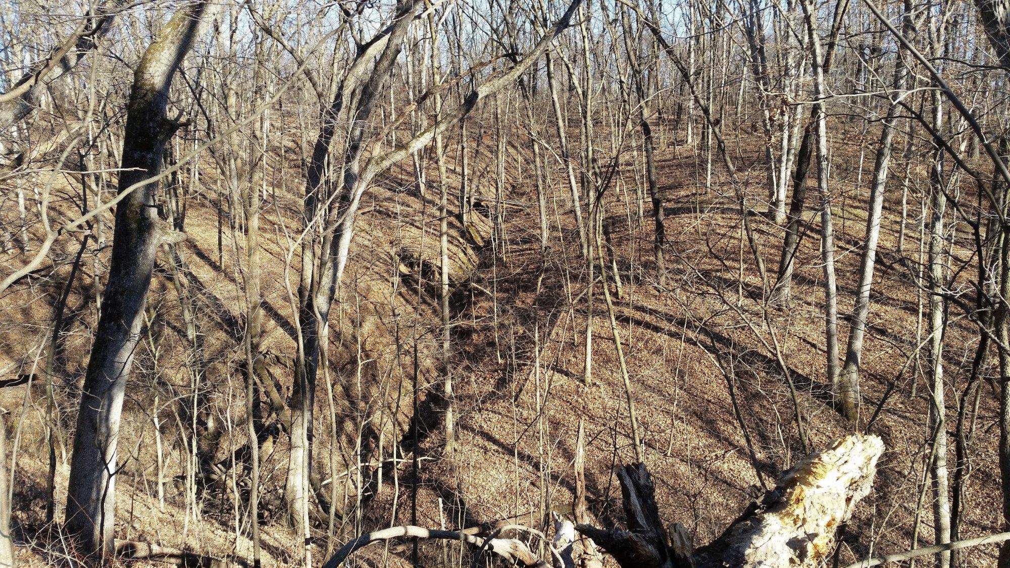 Sunderbruch Park Trail