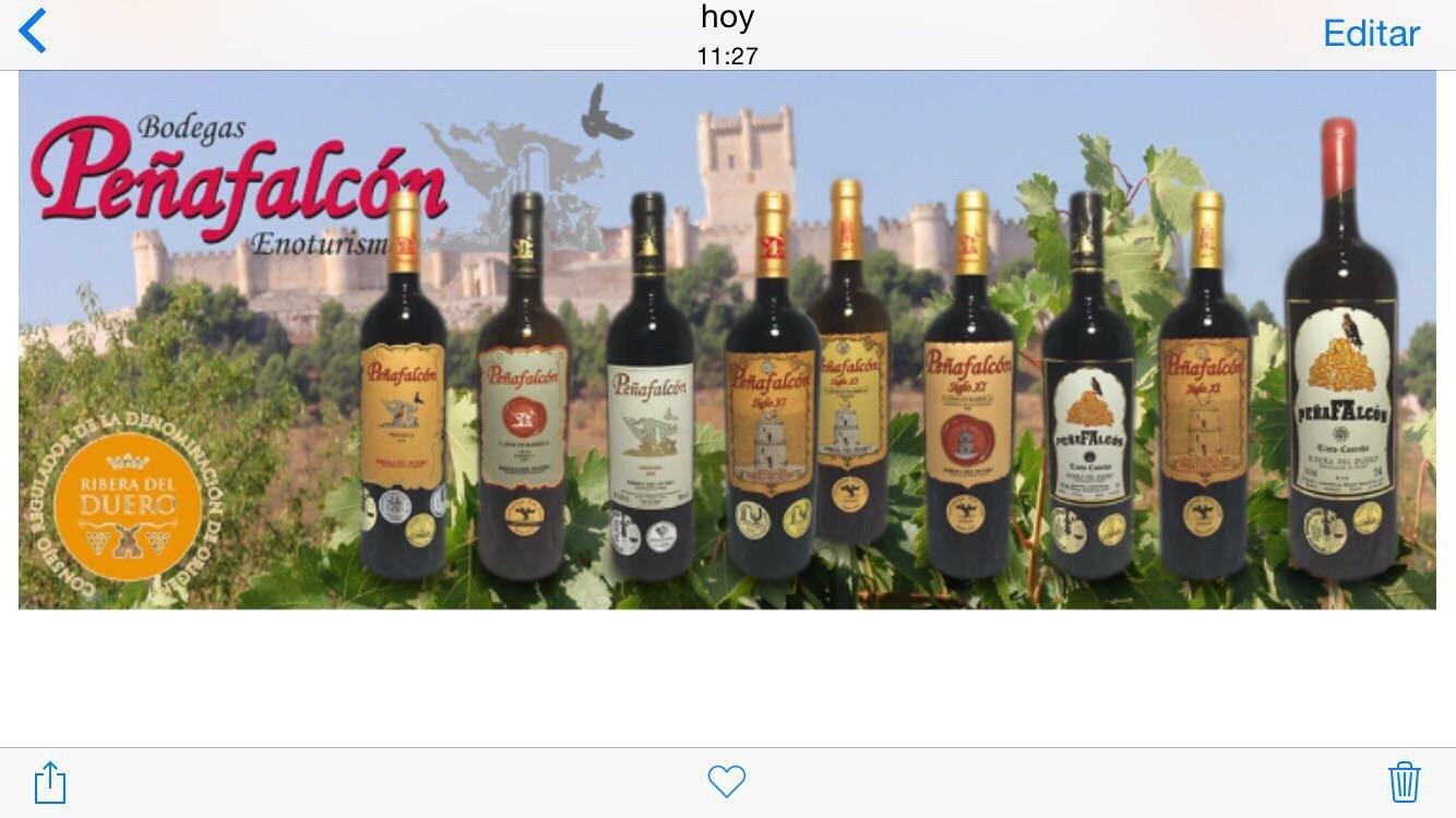 Bodegas Peñafalcon