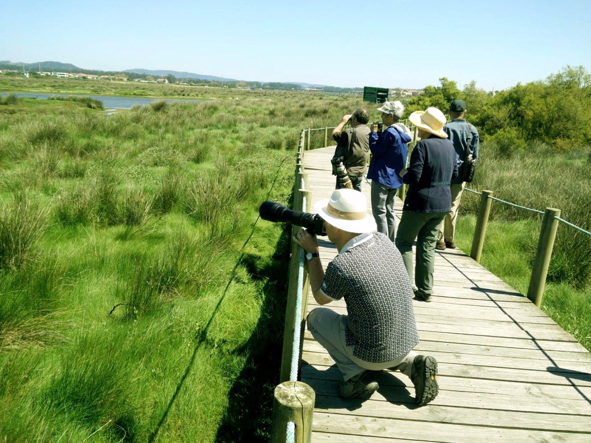 North Birding Tours