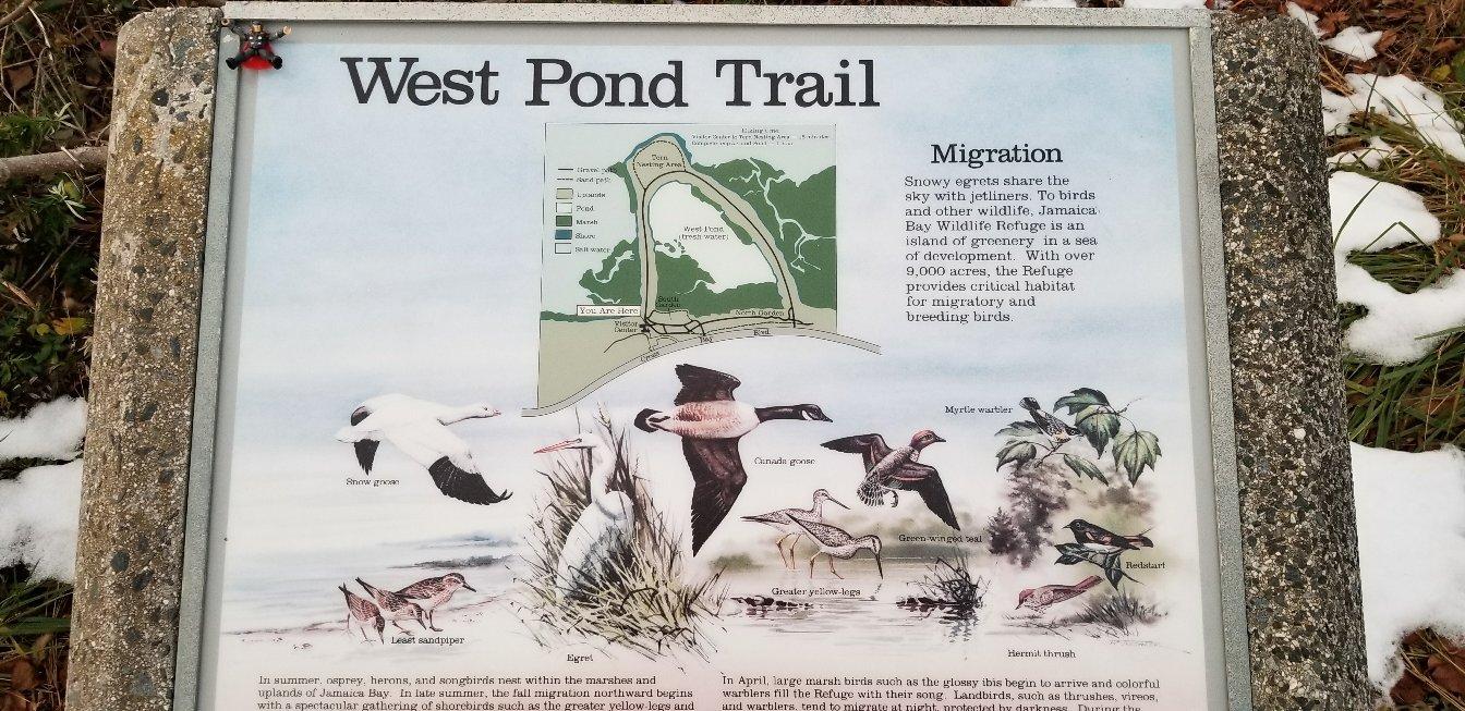 Jamaica Bay Wildlife Refuge Vstr. Cntr. - Gateway National Recreation Area