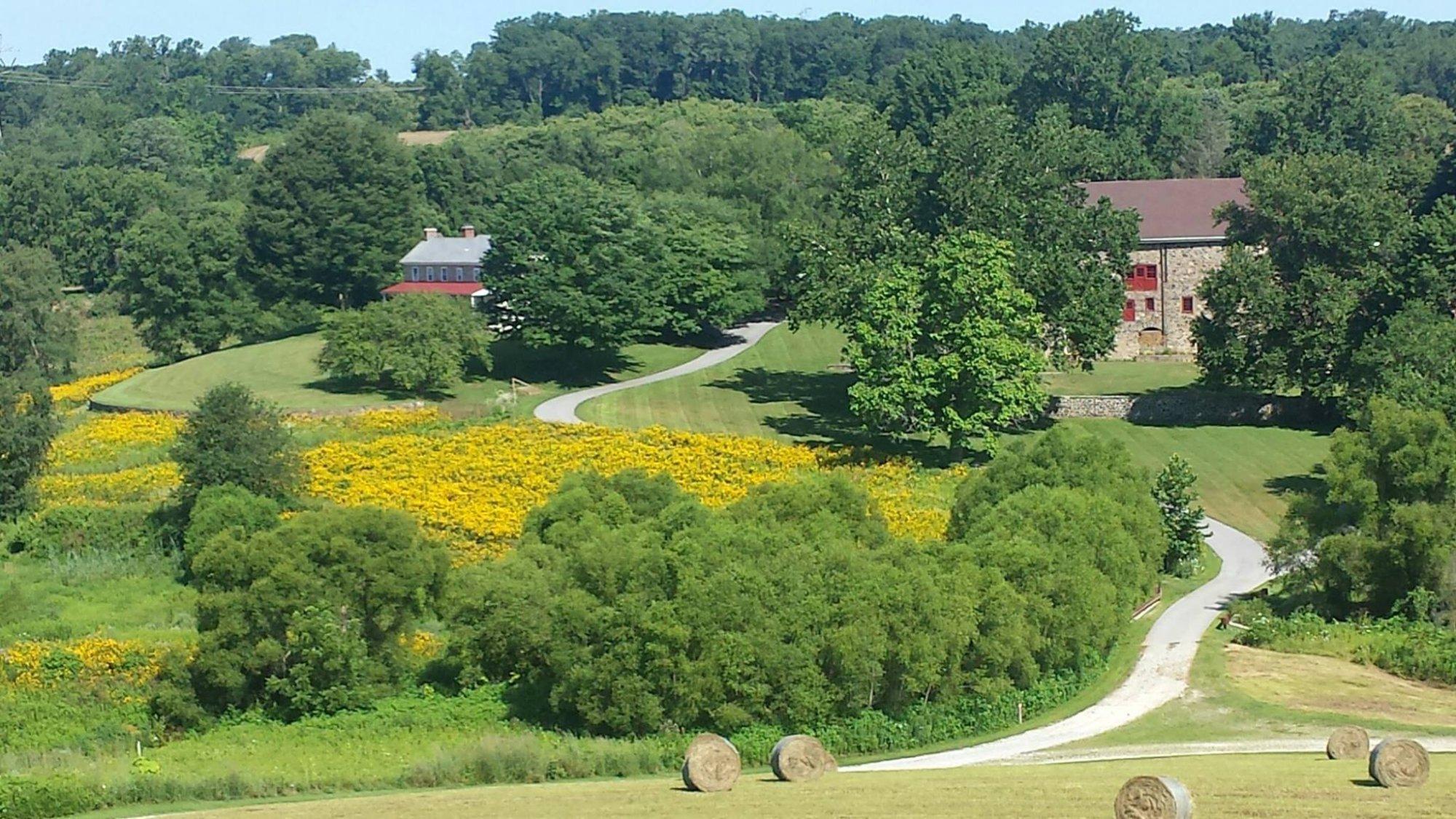 Stroud Preserve - Natural Lands