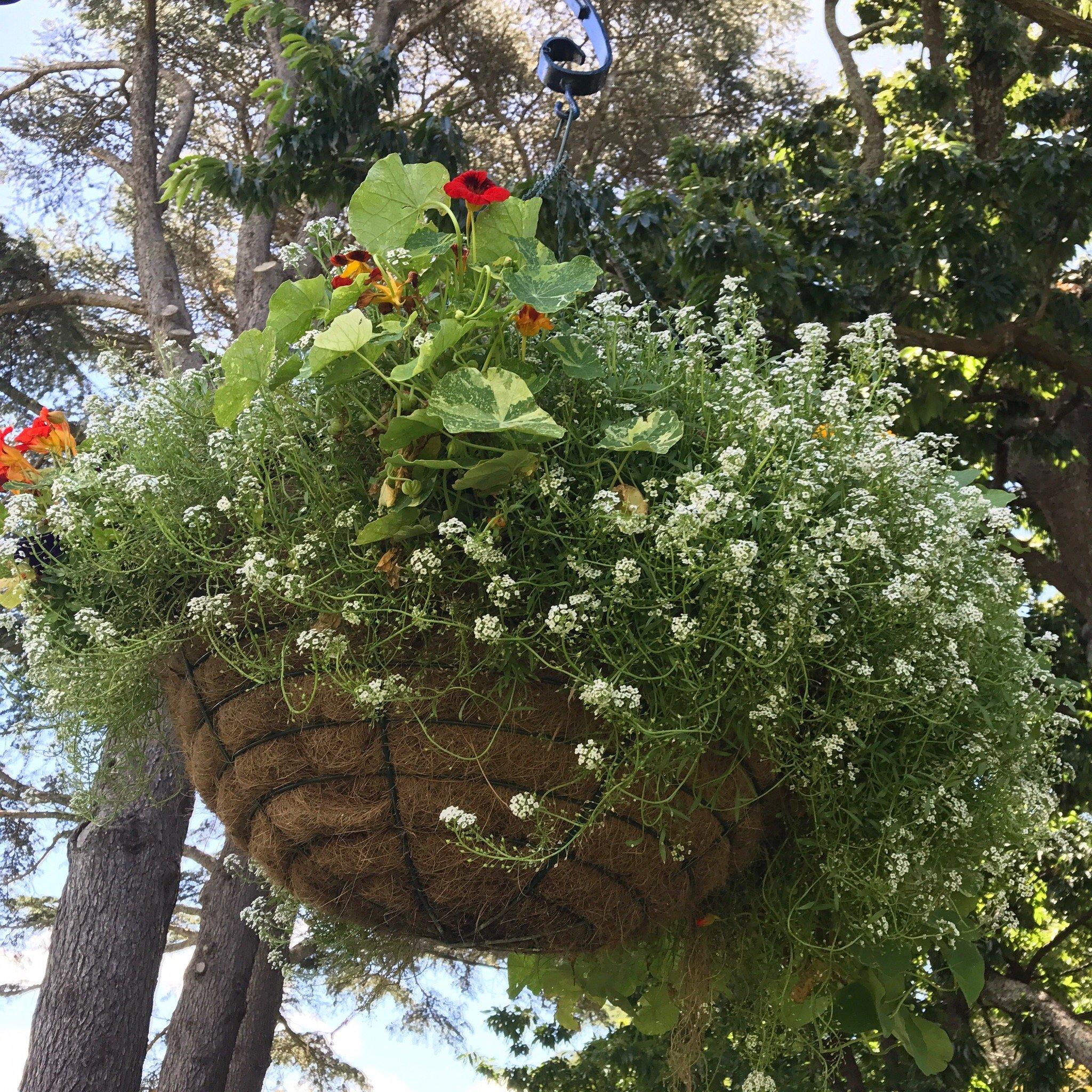 Pan O Vino Italian Restaurant