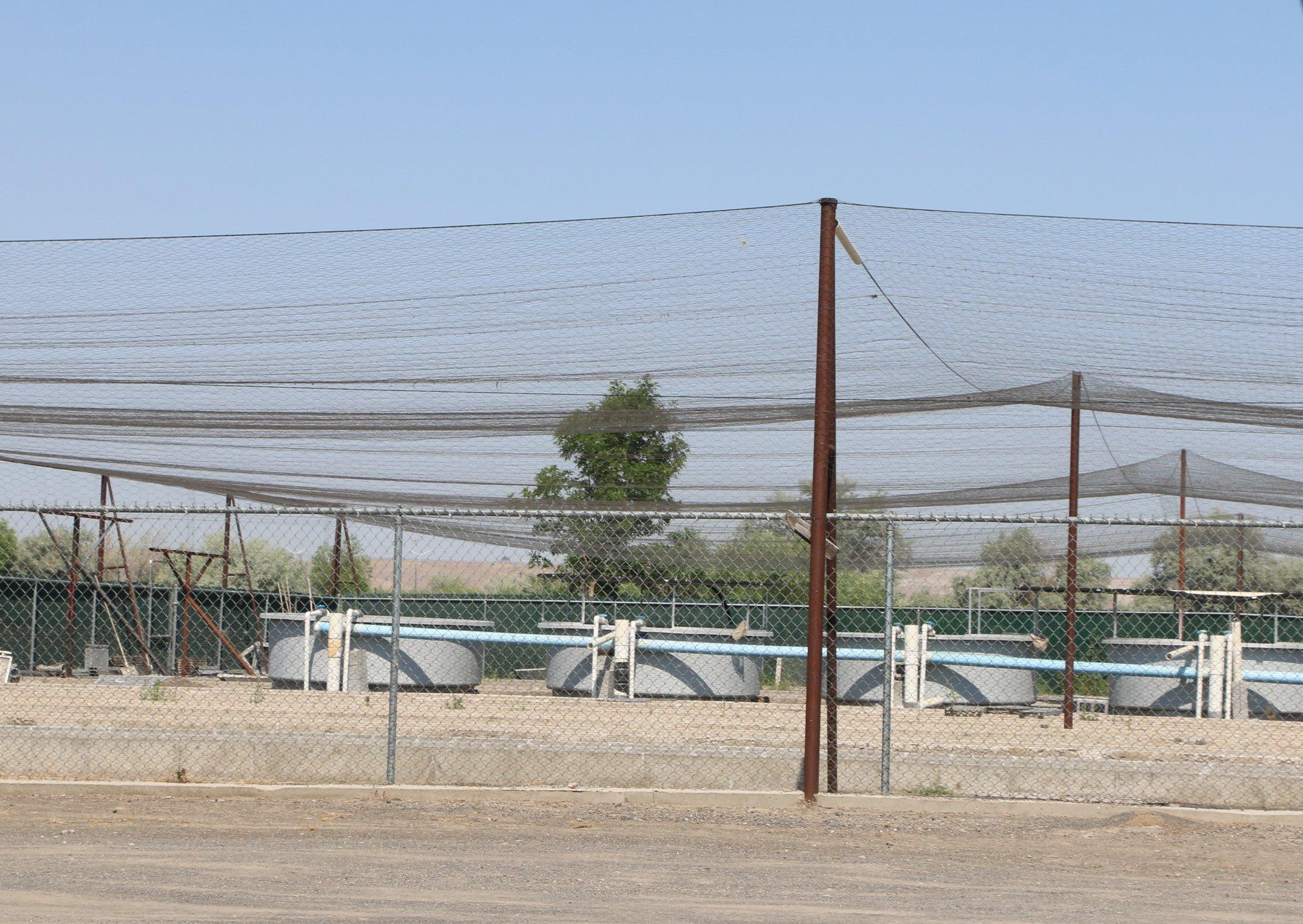 Photo by CrankingChick