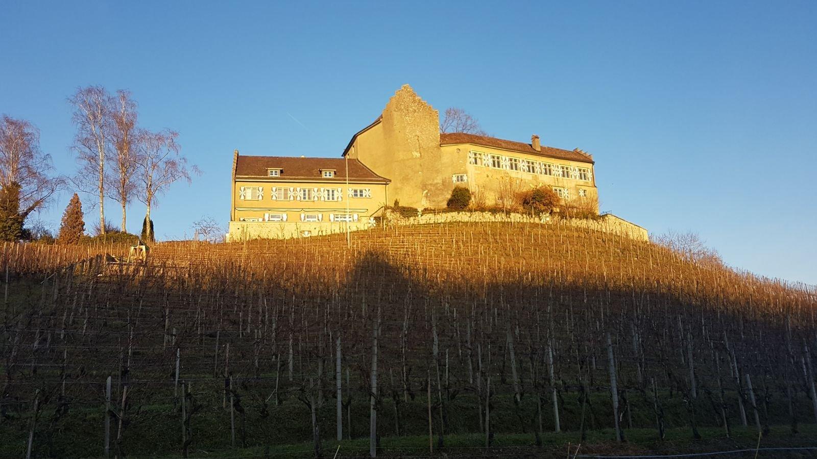 Schloss Schwandegg Restaurant & Hotel