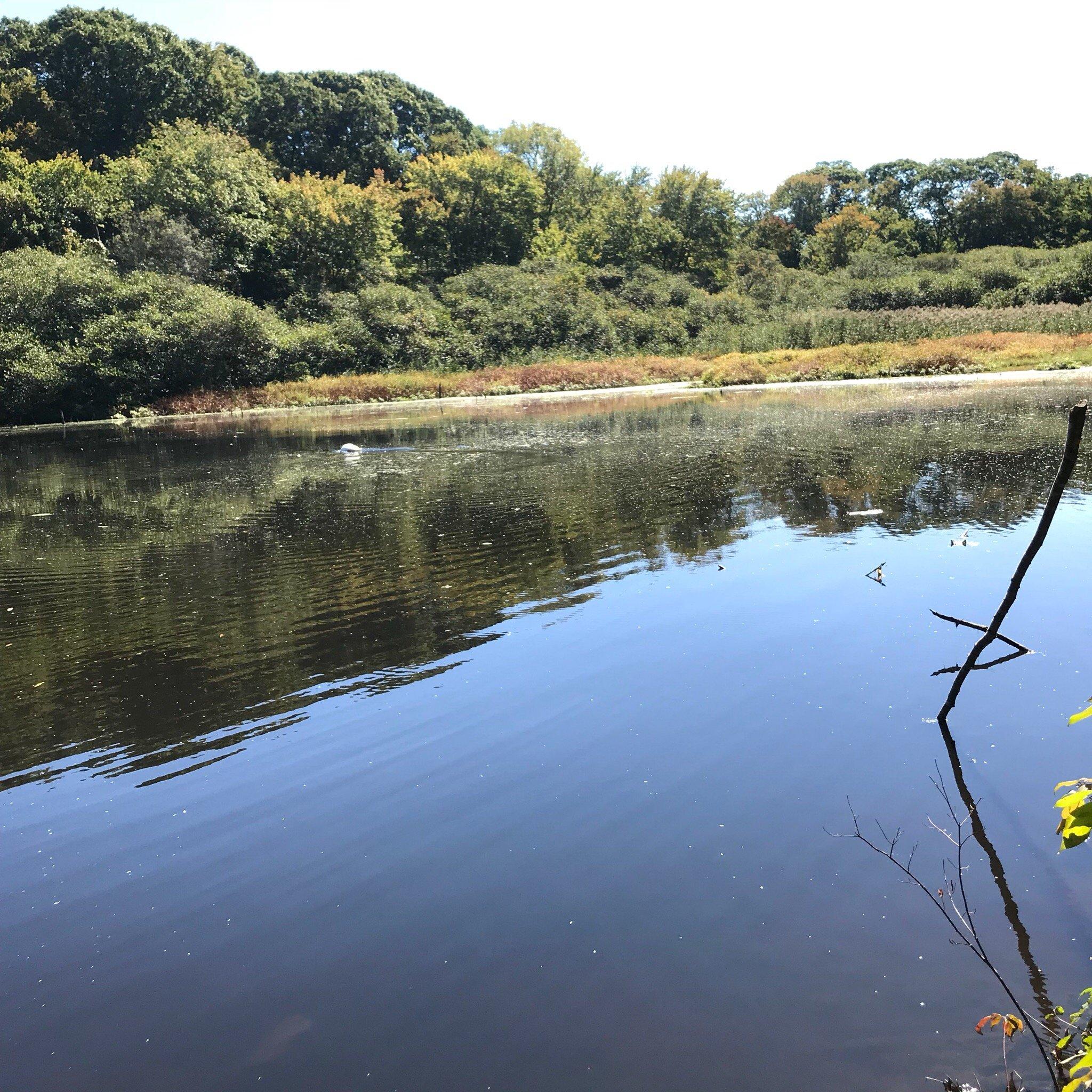 Photo by mileslerner