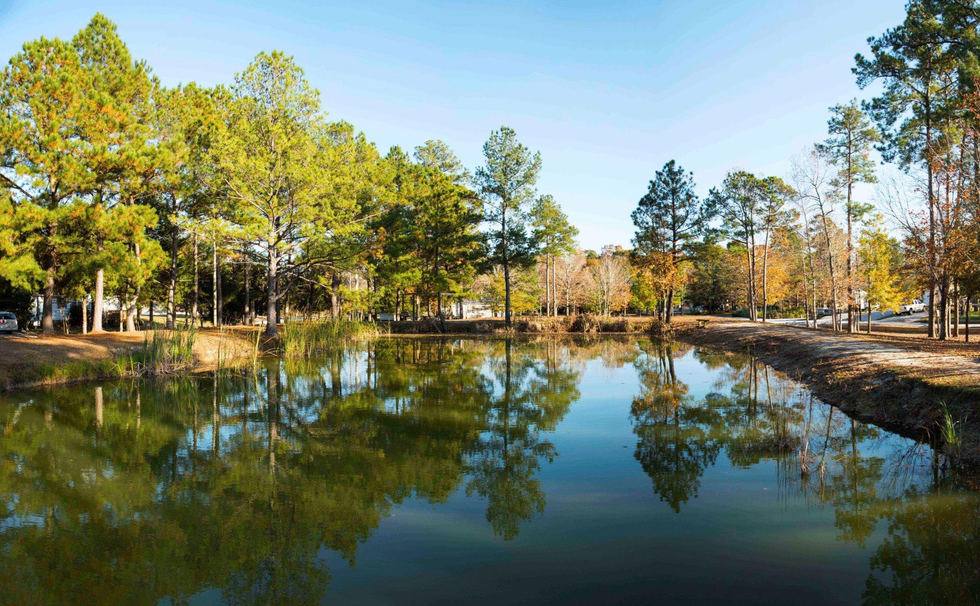 Hawkins Creek Campground