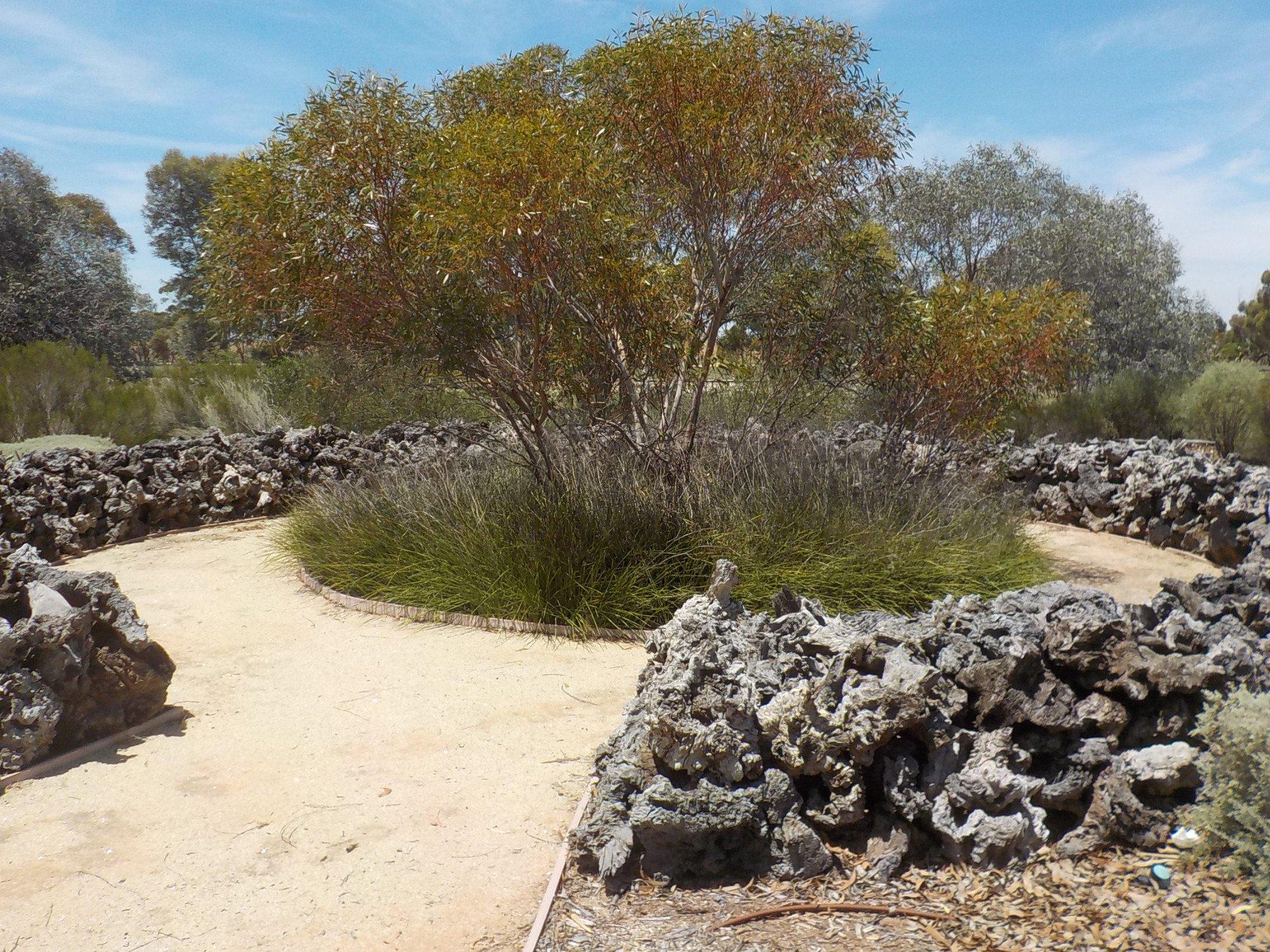 Photo by platypus150