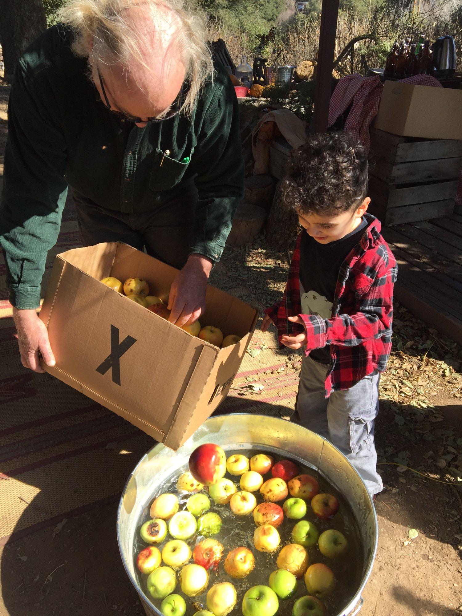 Fort Cross Old Timey Adventures