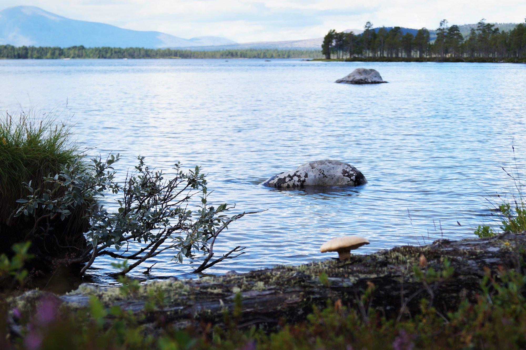 Femundsmarka National Park