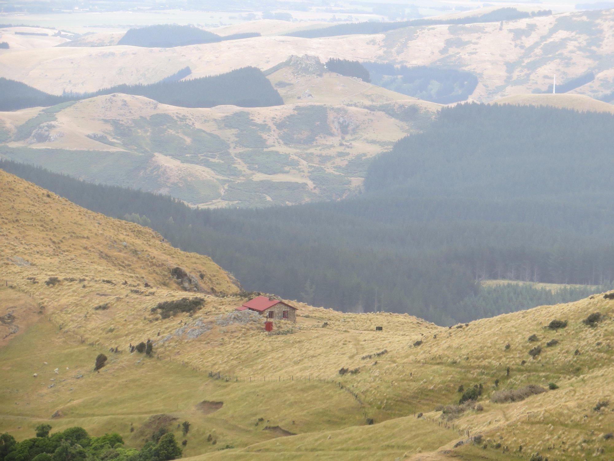 Te Ara Pātaka/Summit Walkway