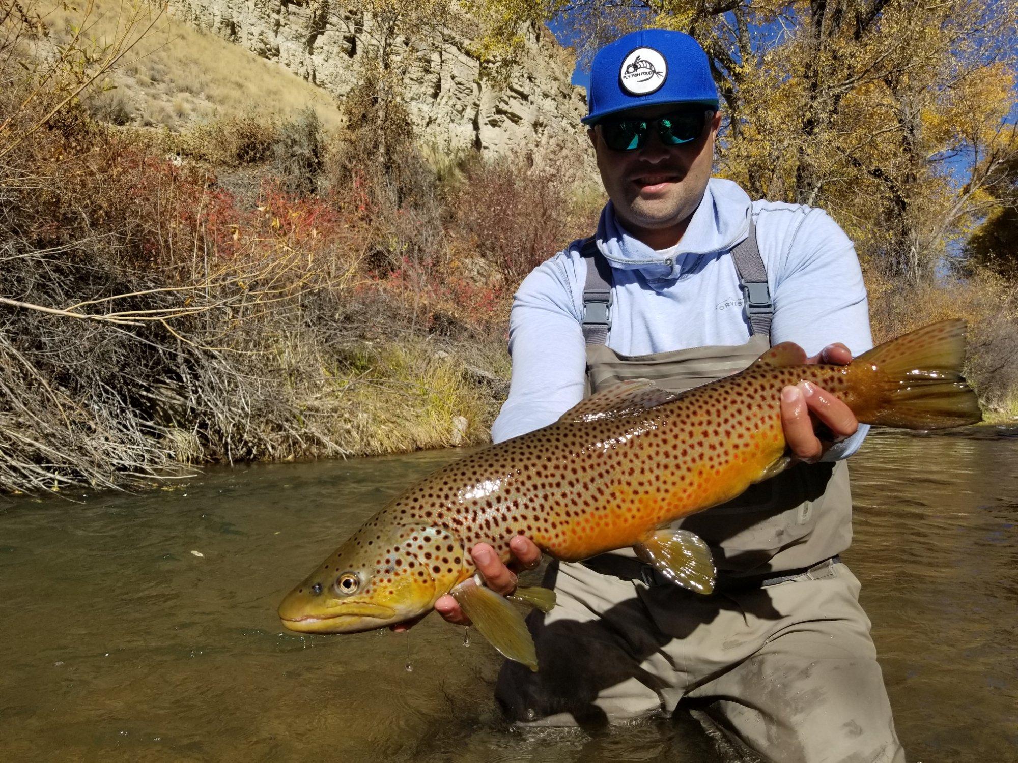 Simply Fishing