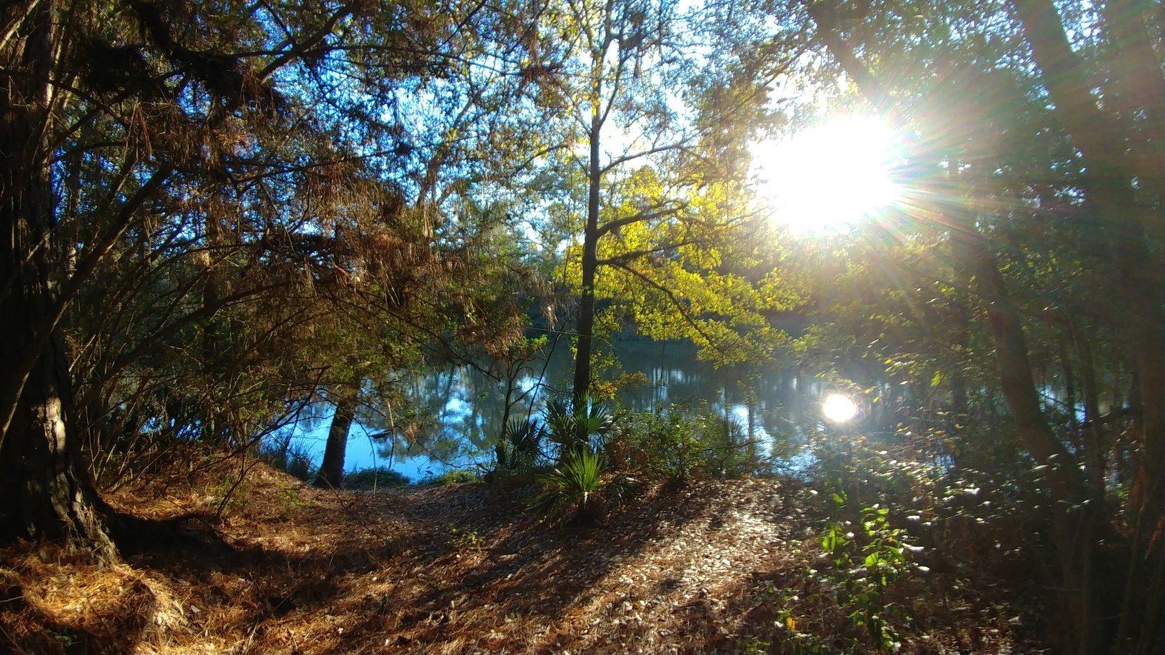 George Mitchell Nature Preserve
