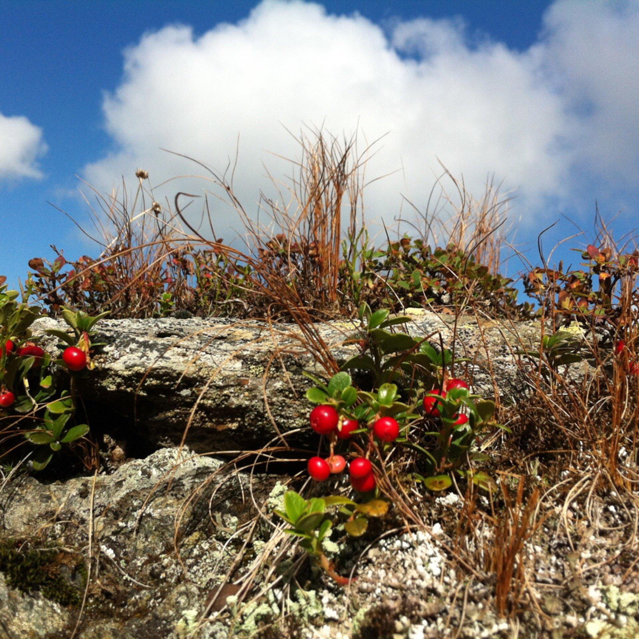 Photo by Sebastian H