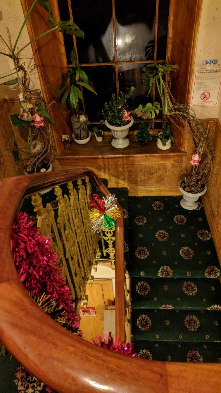 Swan Lake Guest House