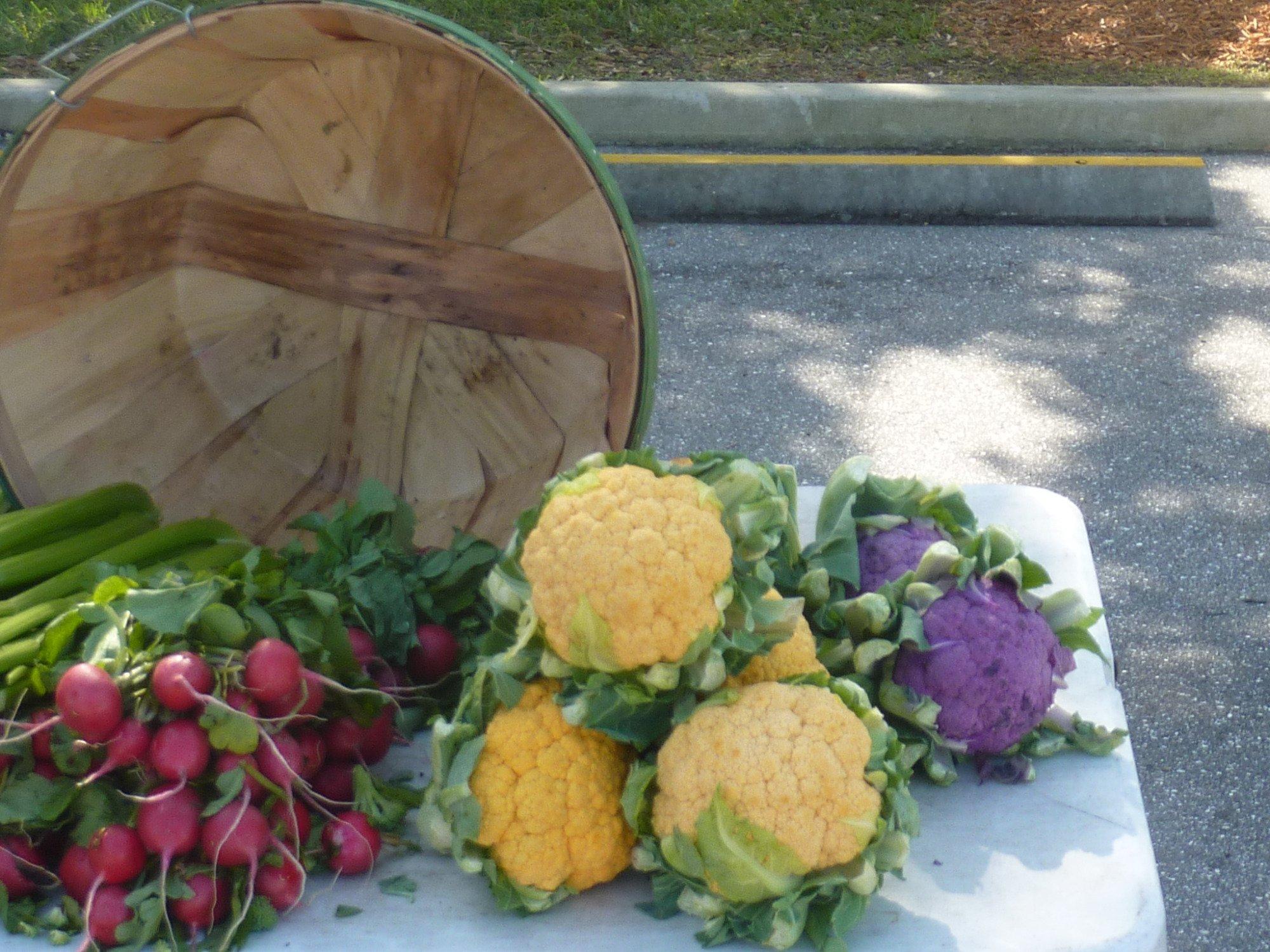 Photo by SavantIII_11