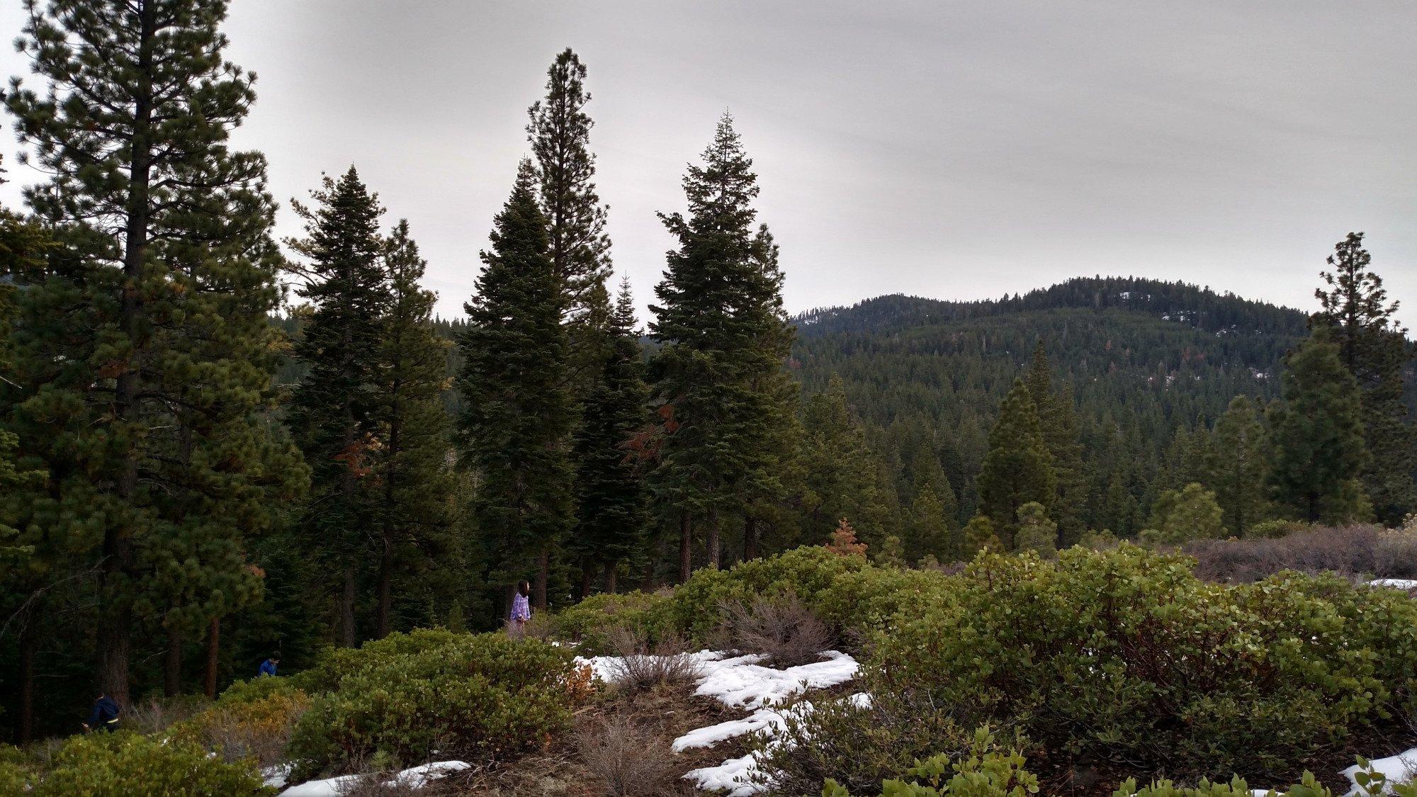 Tompkins Memorial Trail