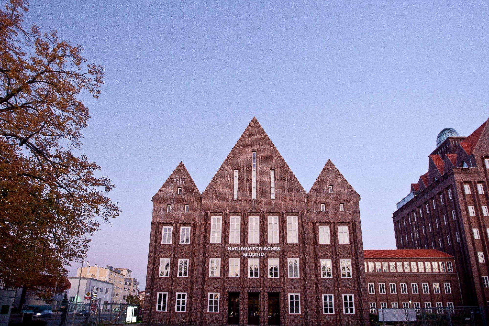 Staatliches Naturhistorisches Museum